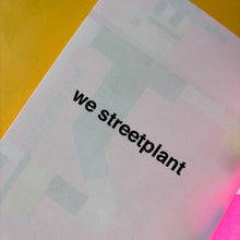 Load image into Gallery viewer, One Duck