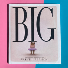 Load image into Gallery viewer, Big