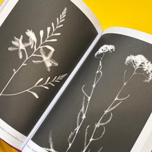 Load image into Gallery viewer, Flower.