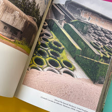 Load image into Gallery viewer, Brutalist Plants
