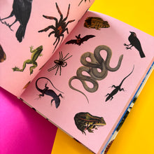 Load image into Gallery viewer, Extraordinary Things Sticker Book