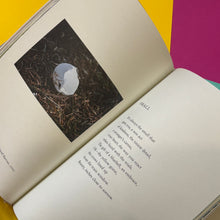 Load image into Gallery viewer, Everyday Wonder : How to find beauty in the ordinary