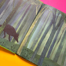 Load image into Gallery viewer, Peter and The Wolf