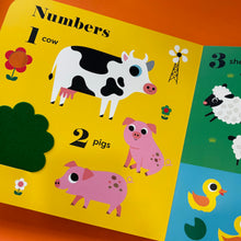 Load image into Gallery viewer, My Big Playbook Farm