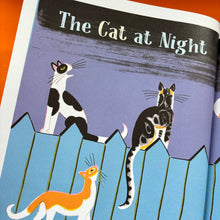 Load image into Gallery viewer, The Cat At Night