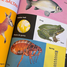 Load image into Gallery viewer, All Kinds Of Things / Todo tipo de cosas