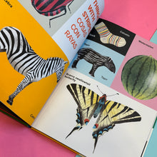 Load image into Gallery viewer, All Kinds Of Things / Todo tipo de cosas