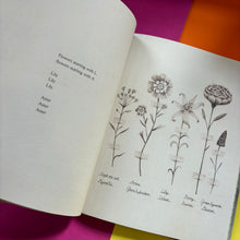 Load image into Gallery viewer, Out Of The Blue