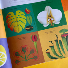 Load image into Gallery viewer, A Jungle In Your Living Room