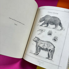 Load image into Gallery viewer, Out Of The Blue