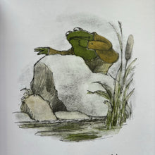 Load image into Gallery viewer, Summer With Frog & Toad