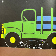 Load image into Gallery viewer, The Cat At Night