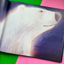 Load image into Gallery viewer, Solar Bear