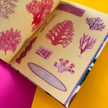 Load image into Gallery viewer, Extraordinary Things Sticker Book