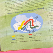 Load image into Gallery viewer, A River Of Dust