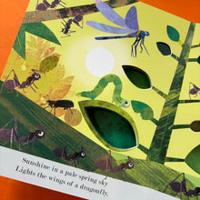 Load image into Gallery viewer, Bugs