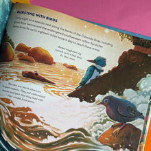 Load image into Gallery viewer, Earth's Incredible Places: Grand Canyon