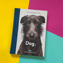 Load image into Gallery viewer, Dog.