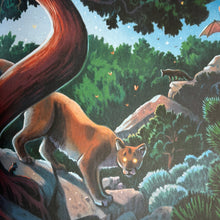 Load image into Gallery viewer, Earth's Incredible Places: Grand Canyon