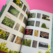 Load image into Gallery viewer, A Tree For Me