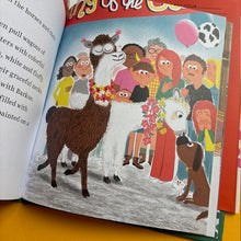 Load image into Gallery viewer, Barkus: The Most Fun