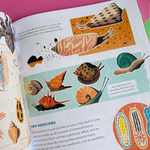 Load image into Gallery viewer, Earth's Incredible Places The Great Barrier Reef