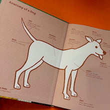 Load image into Gallery viewer, Best In Show