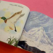 Load image into Gallery viewer, Wonder Wings