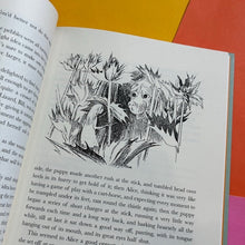 Load image into Gallery viewer, Alice's Adventures in Wonderland (Special Slipcase Edition)