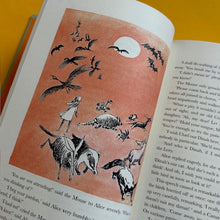 Load image into Gallery viewer, Alice's Adventures in Wonderland (Special Slipcase Edition)