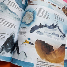 Load image into Gallery viewer, All About Antarctica