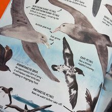 Load image into Gallery viewer, All About Antarctica