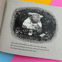 Load image into Gallery viewer, The Bear And The Wildcat