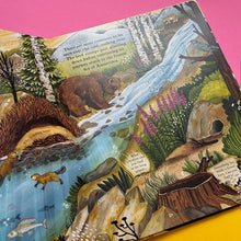 Load image into Gallery viewer, Hide and Find in the Frozen Wilds