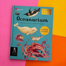 Load image into Gallery viewer, Oceanarium - Junior Edition
