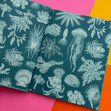 Load image into Gallery viewer, Oceanarium - Junior Edition