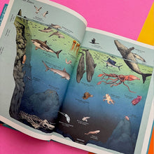 Load image into Gallery viewer, Oceanarium - Junior Edition