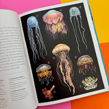 Load image into Gallery viewer, Oceanarium - Junior Edition