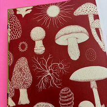 Load image into Gallery viewer, Fungarium