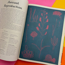 Load image into Gallery viewer, Fungarium