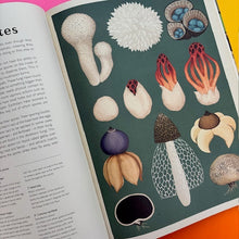 Load image into Gallery viewer, Fungarium