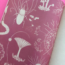 Load image into Gallery viewer, Fungarium