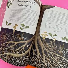 Load image into Gallery viewer, Fungarium