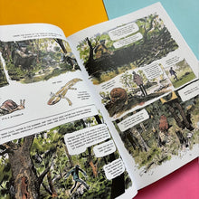 Load image into Gallery viewer, The Hidden Life of Trees : A Graphic Adaptation