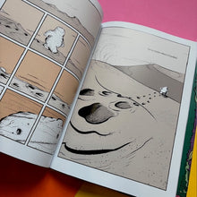 Load image into Gallery viewer, When The Mountain Wakes