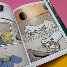 Load image into Gallery viewer, When The Mountain Wakes