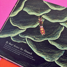 Load image into Gallery viewer, The Expedition