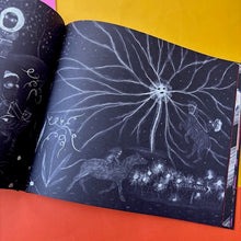 Load image into Gallery viewer, The Expedition