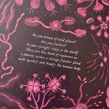 Load image into Gallery viewer, The Expedition