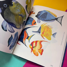 Load image into Gallery viewer, Marine Inspiration: Aquatic Life in Art and Illustration